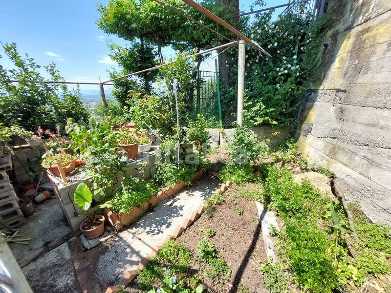 Casa di Borgo con Vista Mare e Uliveto – In Vendita