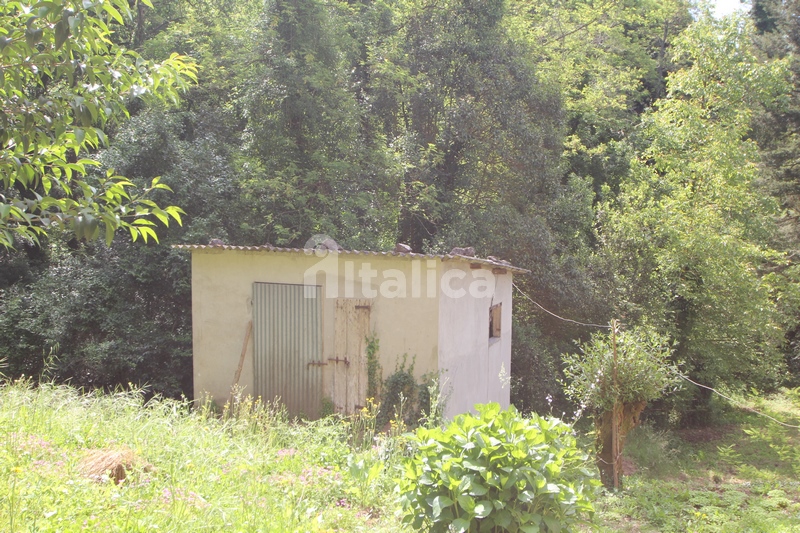 Casa Bifamiliare con Terreno e Ruscello – In Vendita a Camaiore