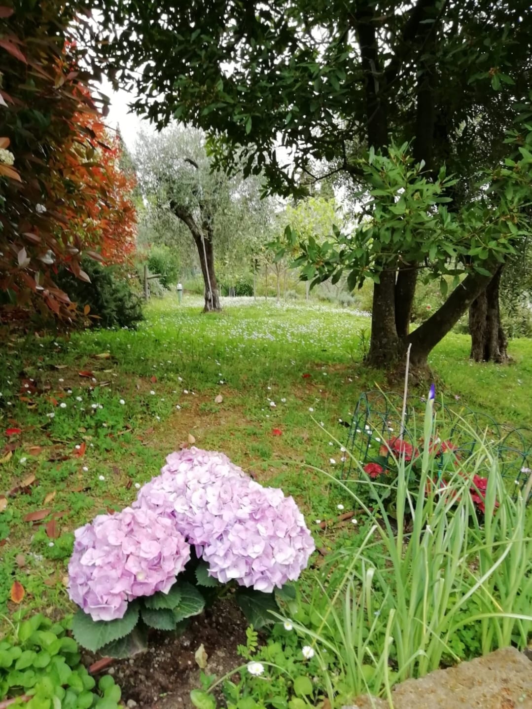 Renovated 70s House with Garden & Sea View in Bargecchia