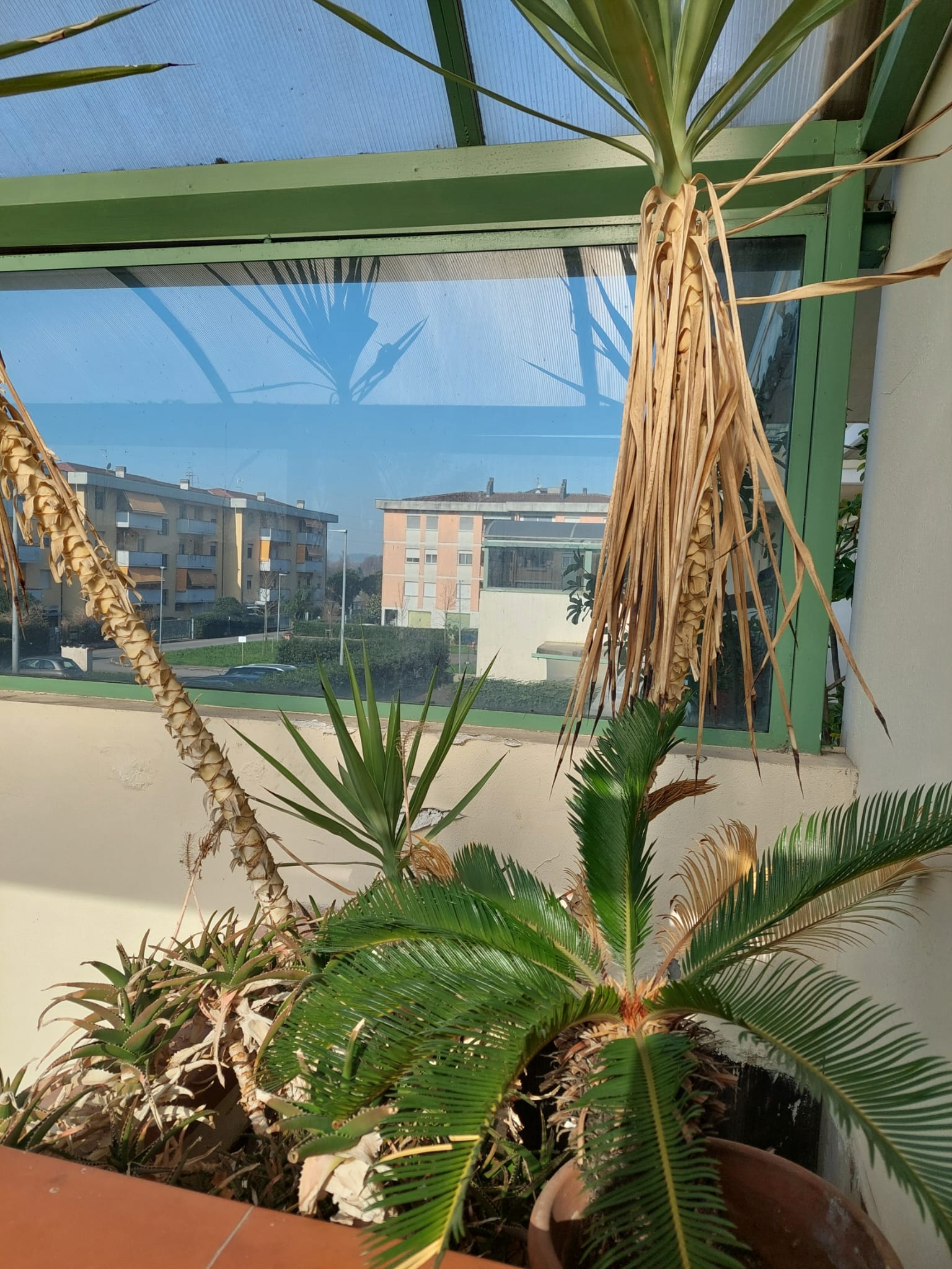 Appartamento Ristrutturato con 3 Camere Vicino alla Spiaggia a Montignoso