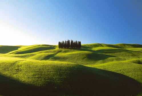Siena