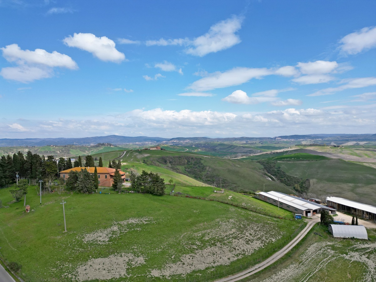 Crete Senesi grande fattoria