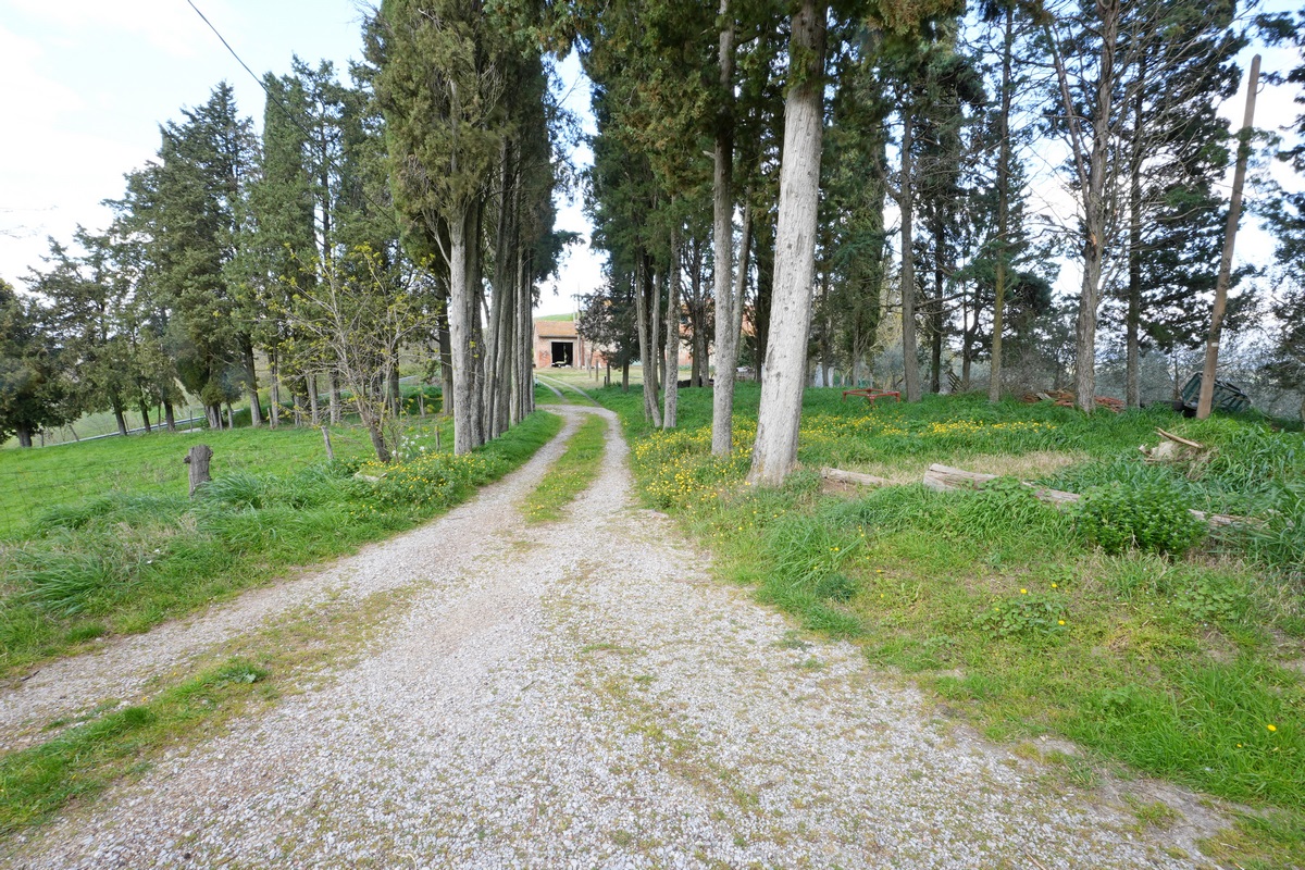 Crete Senesi grande fattoria