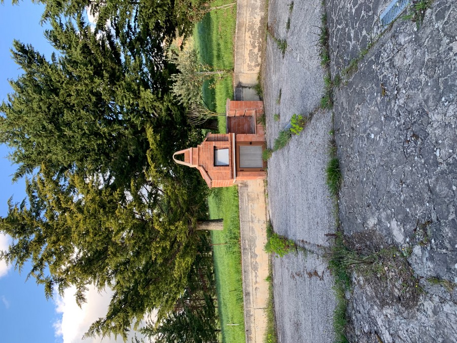 Lagopesole