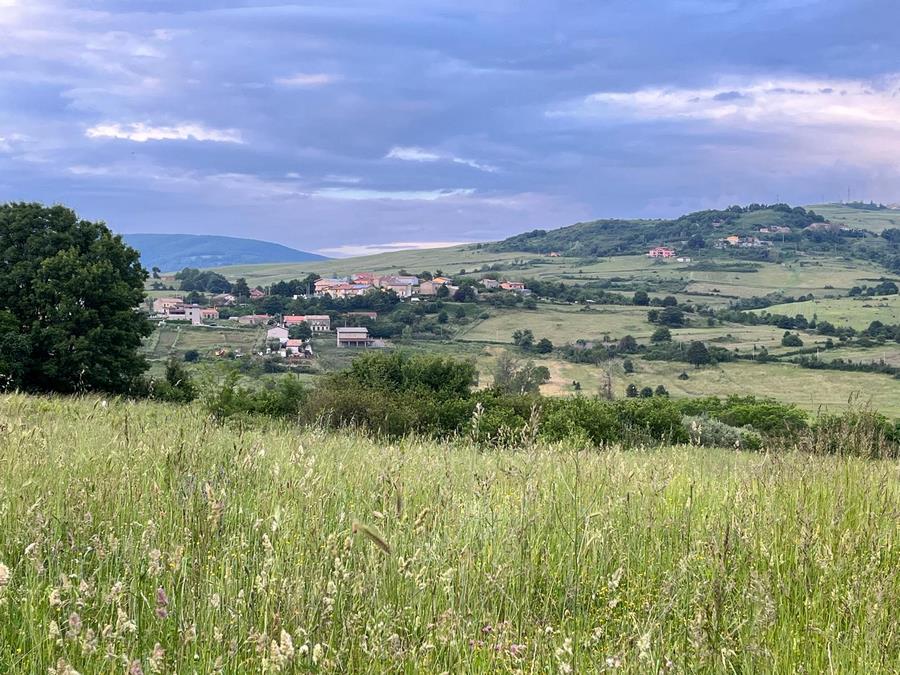 Lagopesole
