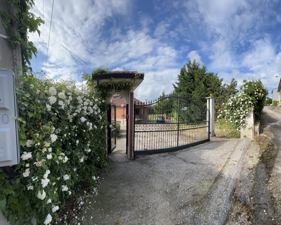 Lagopesole