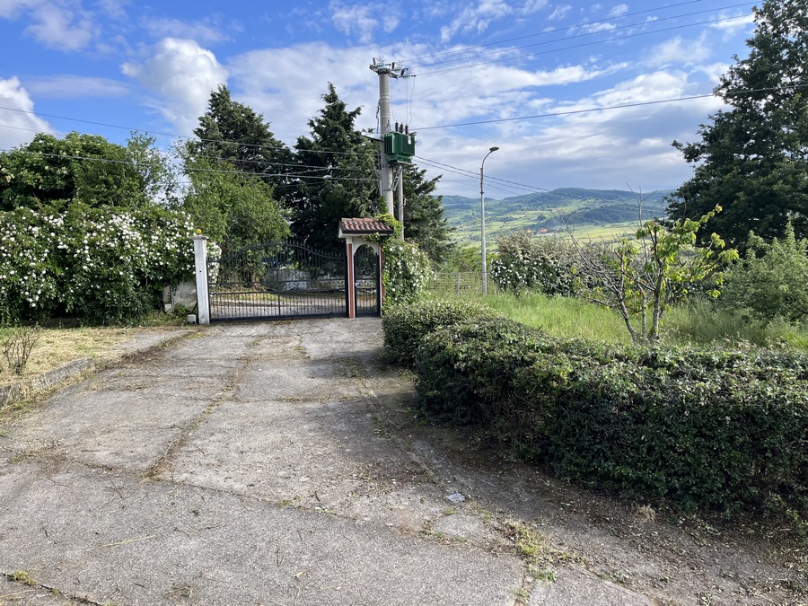 Lagopesole