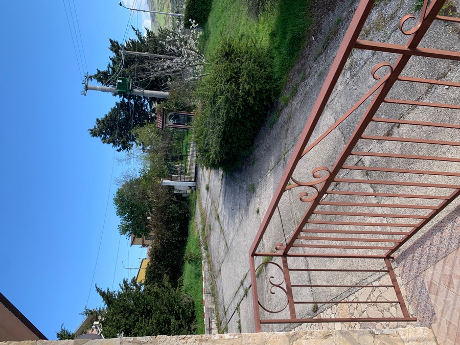 Lagopesole
