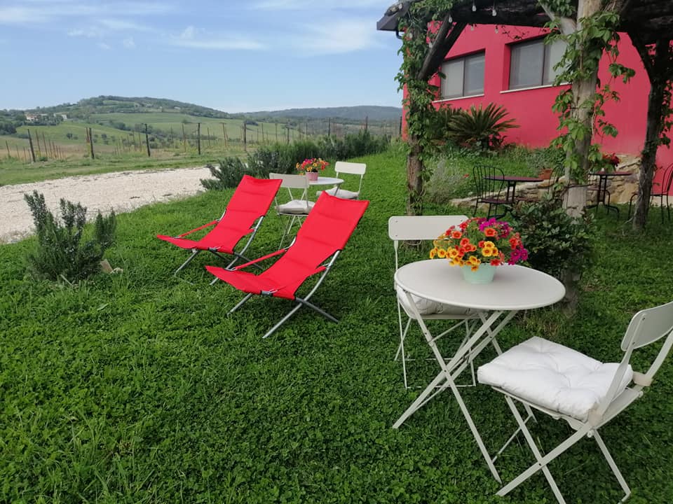 Organic Farm Near Saturnia – Wine, Olive Oil & Honey Production