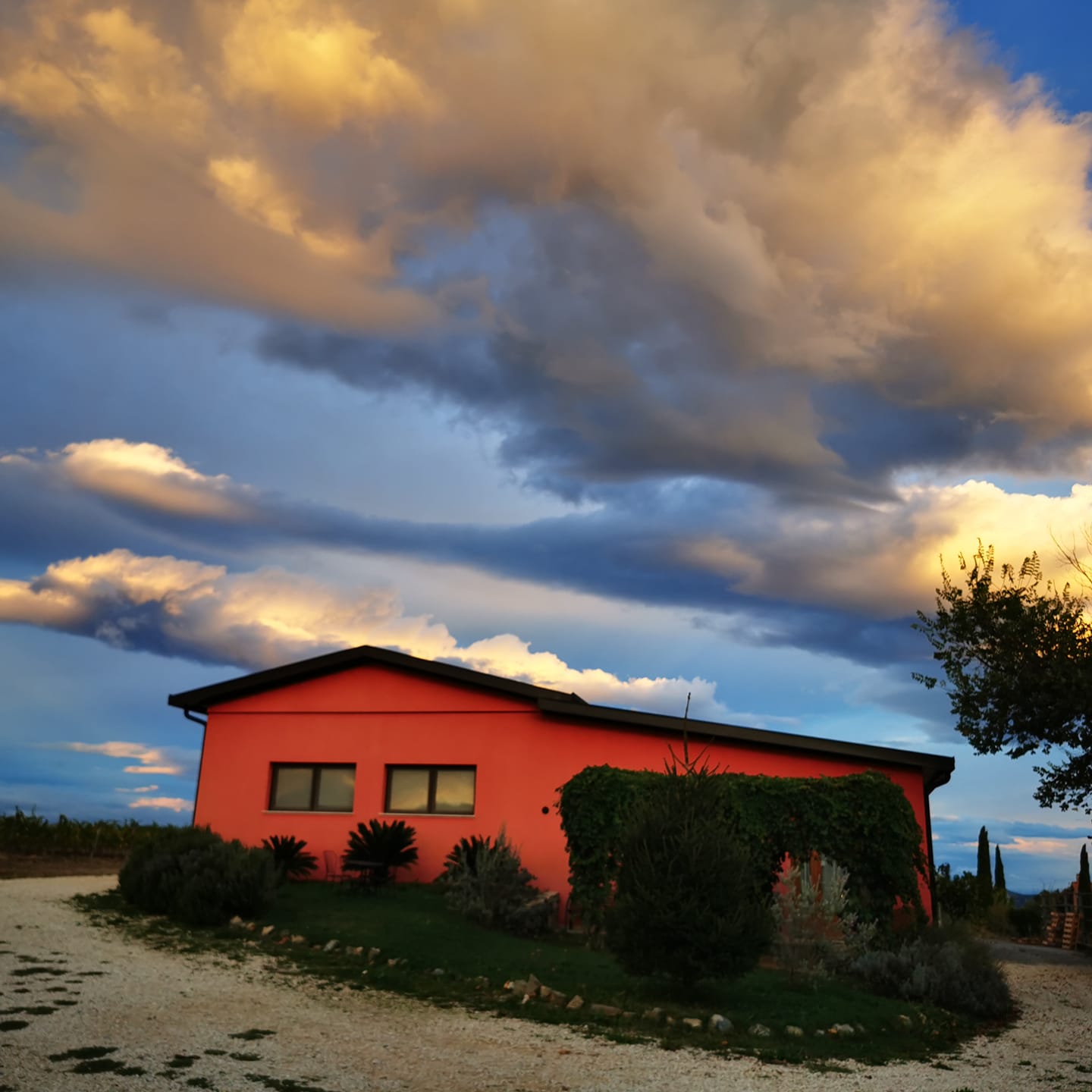 Organic Farm Near Saturnia – Wine, Olive Oil & Honey Production