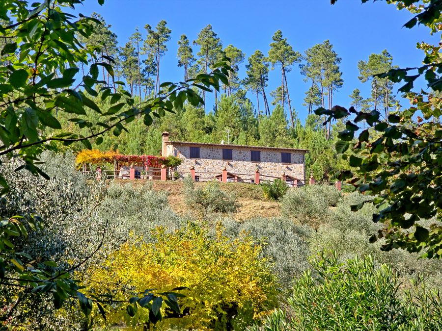 Farmhouse with pool in a dominant position – for nature lovers who love seclusion