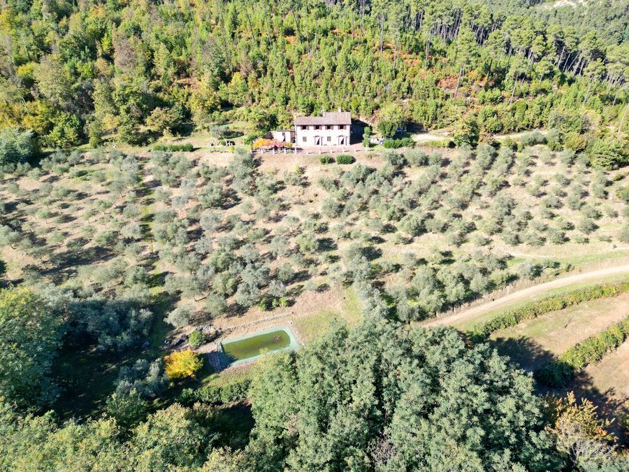 Farmhouse with pool in a dominant position – for nature lovers who love seclusion