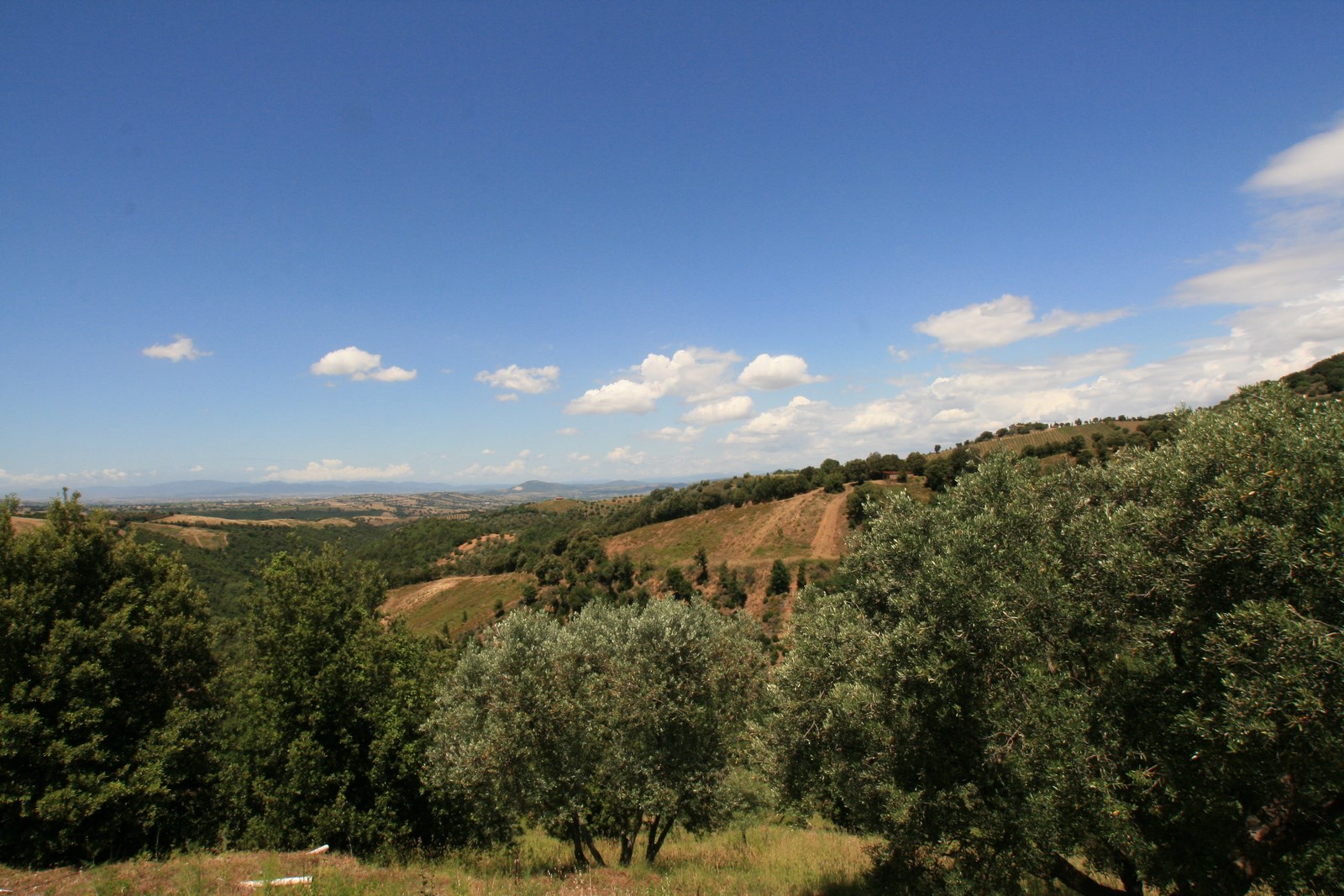 Grundstück mit Meerblick, Oliven und kleinen ausbaufähigen Steinruinen