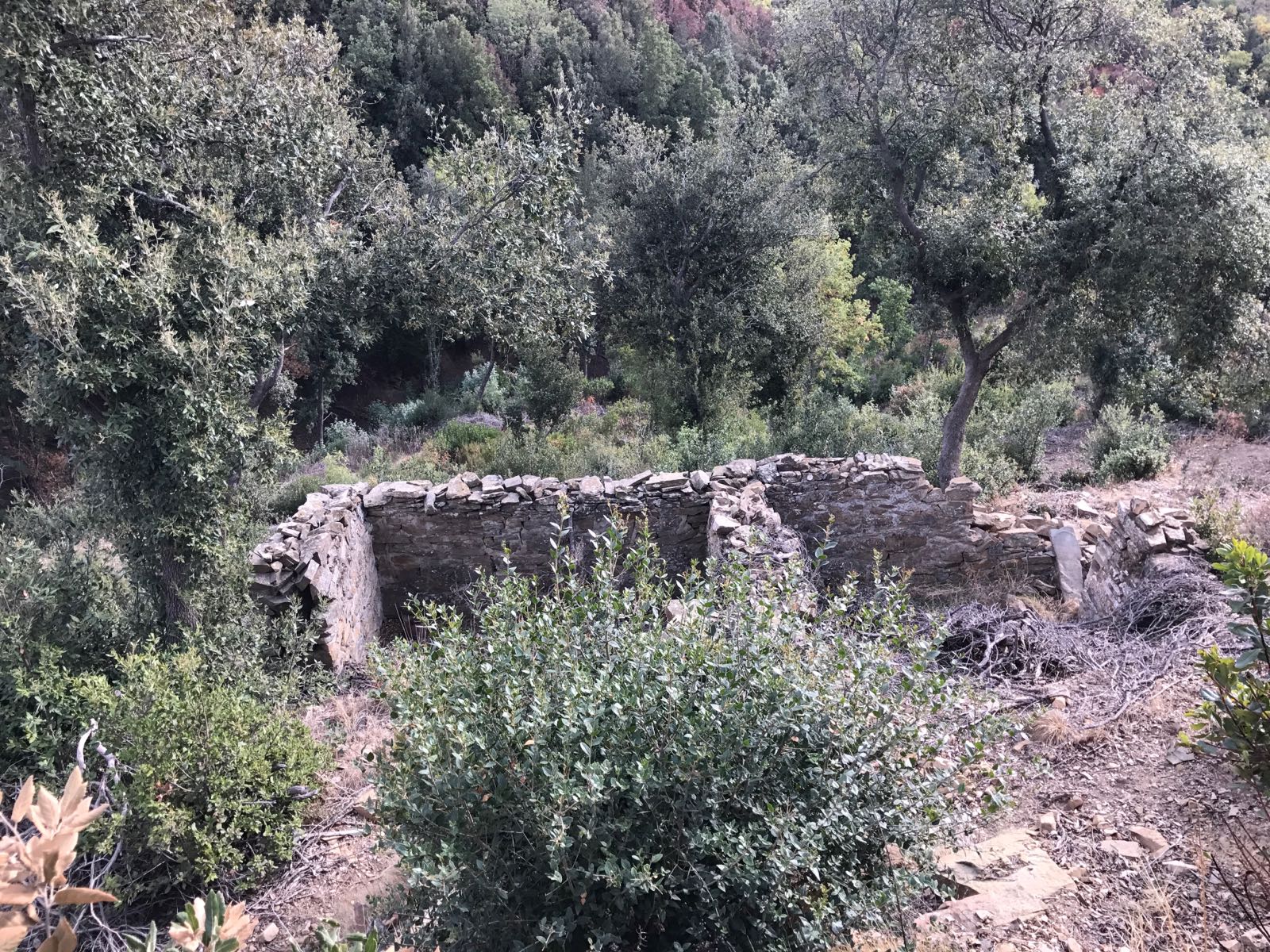 Grundstück mit Meerblick, Oliven und kleinen ausbaufähigen Steinruinen