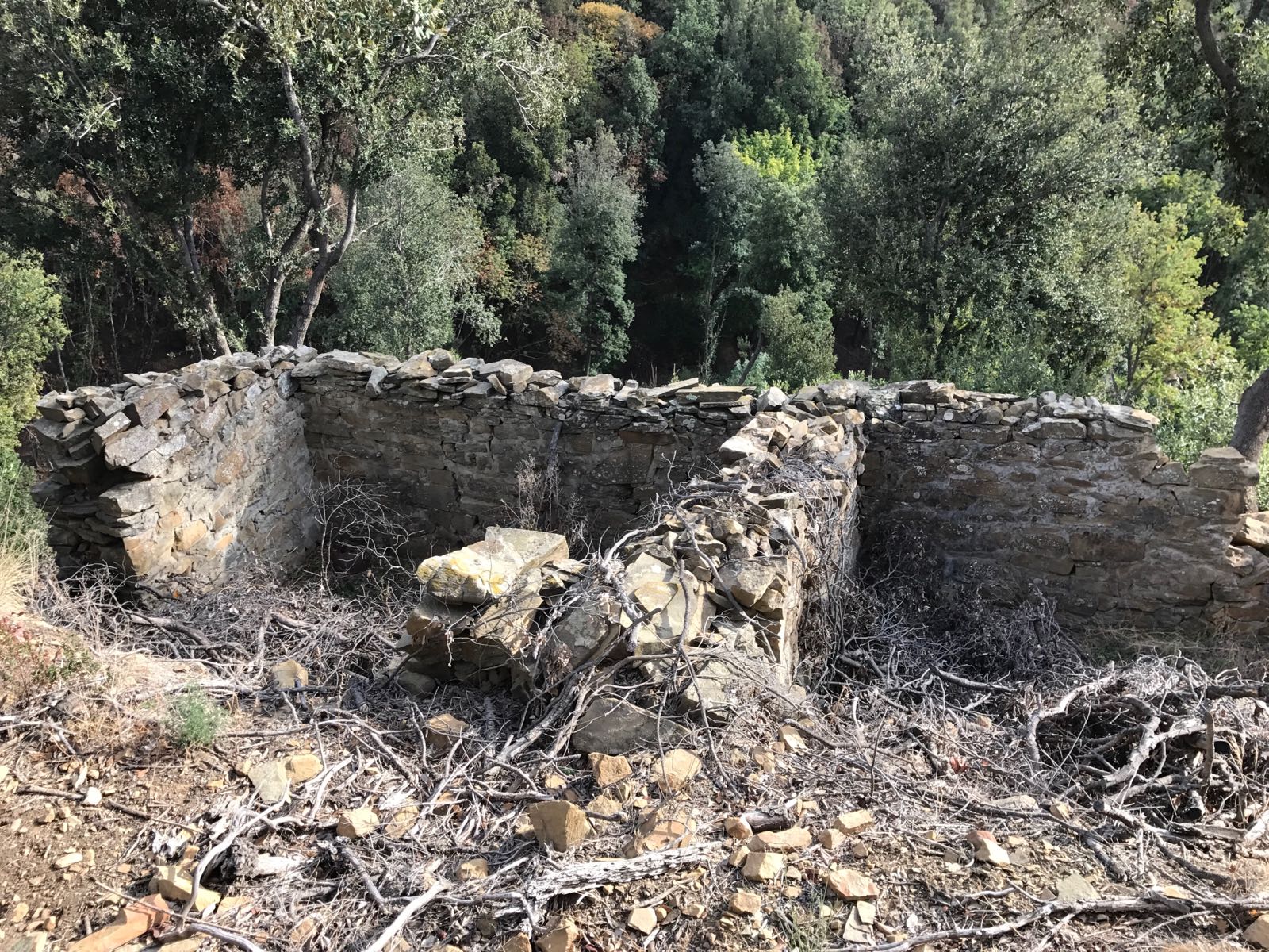 Grundstück mit Meerblick, Oliven und kleinen ausbaufähigen Steinruinen