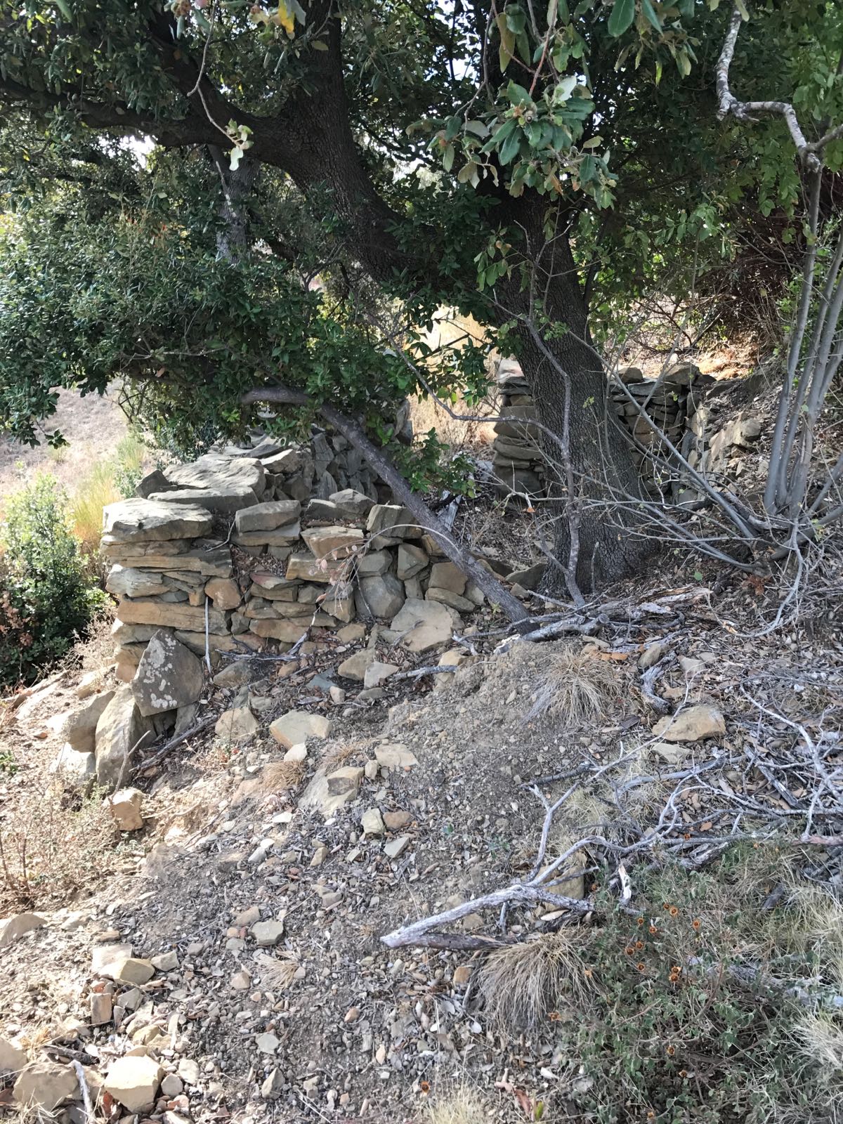 Grundstück mit Meerblick, Oliven und kleinen ausbaufähigen Steinruinen