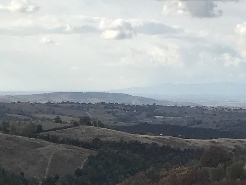 Grundstück mit Meerblick, Oliven und kleinen ausbaufähigen Steinruinen