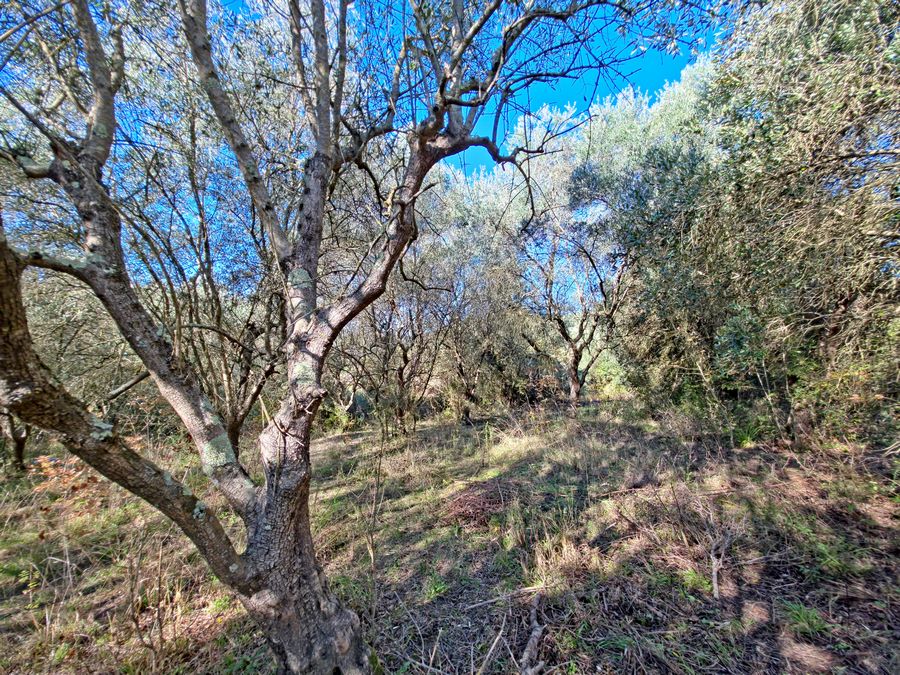 Na totální renovaci ex vila a stáje s pozemkem u San Miniata