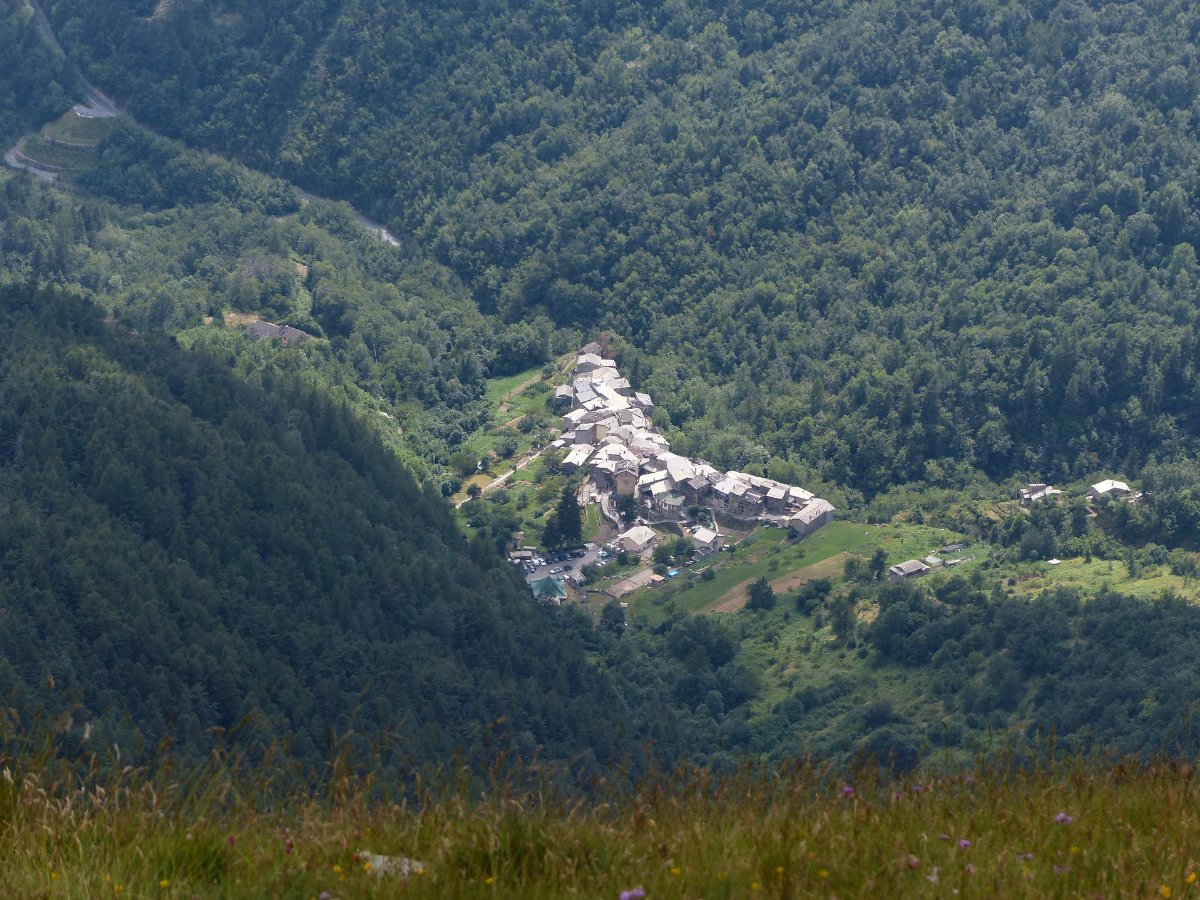 Aurigo