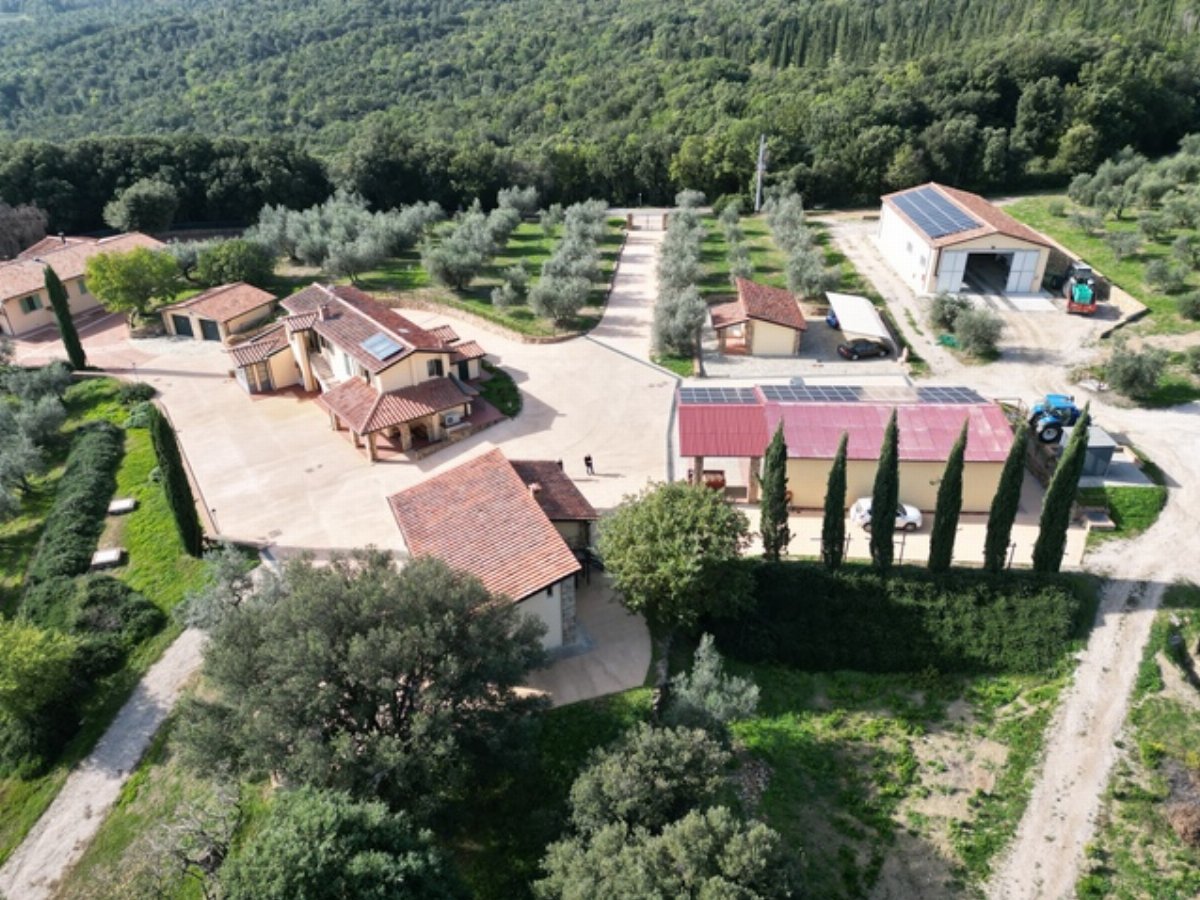 Azienda Agricola con 67ha e 7500 Ulivi – Toscana