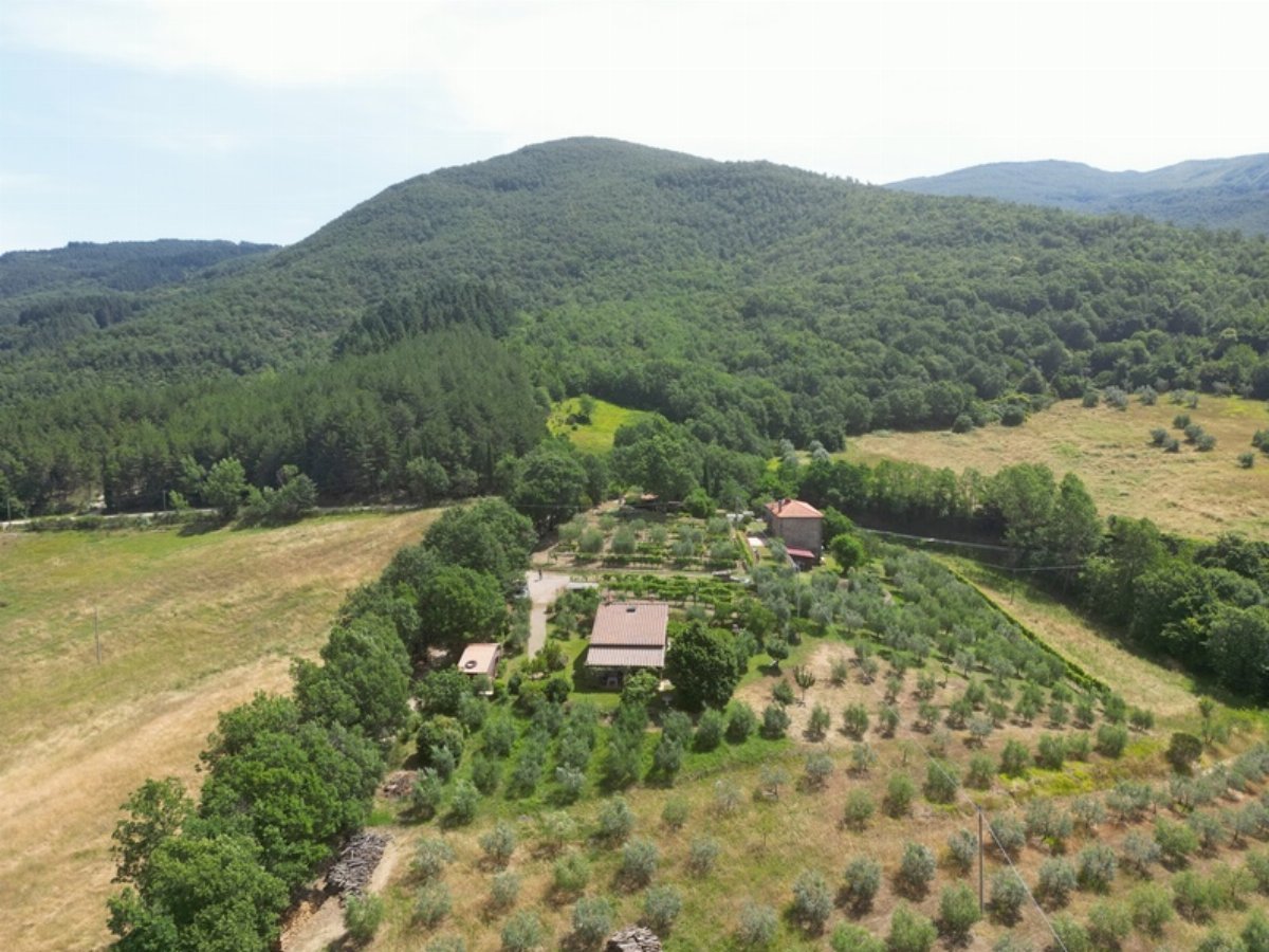 Holiday Home for Sale Near Arezzo – Tuscan Charm & Privacy
