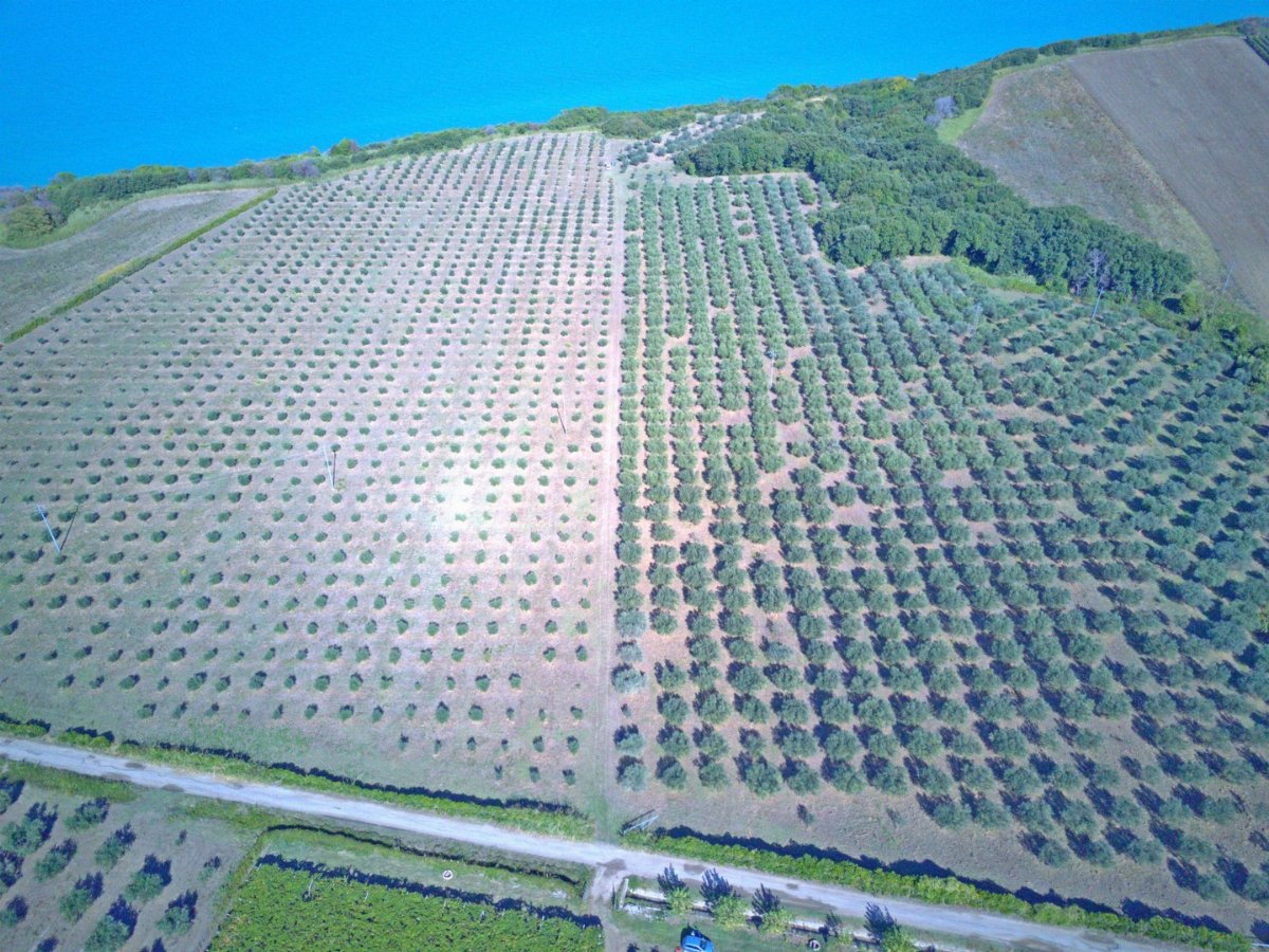 Abruzzo