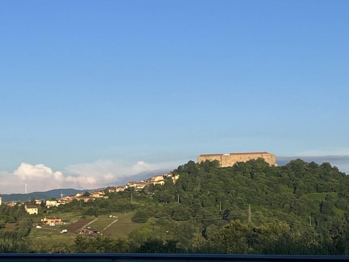 Lagopesole