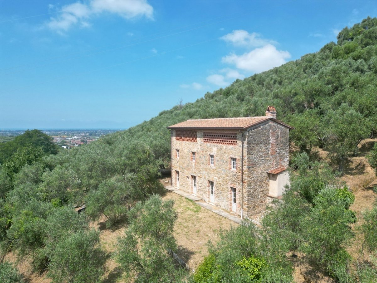 Und signore rustico con depandance, olivi e vista mare vicino Camaiore