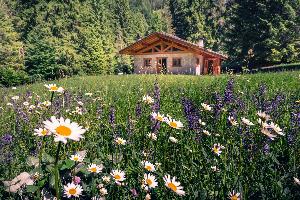 Trentino Alto Adige