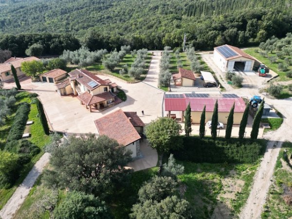 Olive Farm with 67ha Land & 7500 Trees – Tuscany