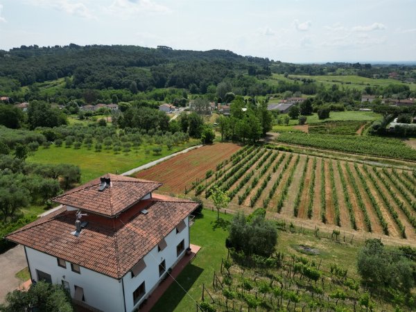 Spacious Villa with Annexe in Capannori, Near Lucca