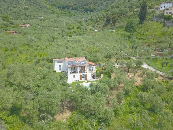 Villa Toscana con Piscina & Uliveto – Montebello di Camaiore