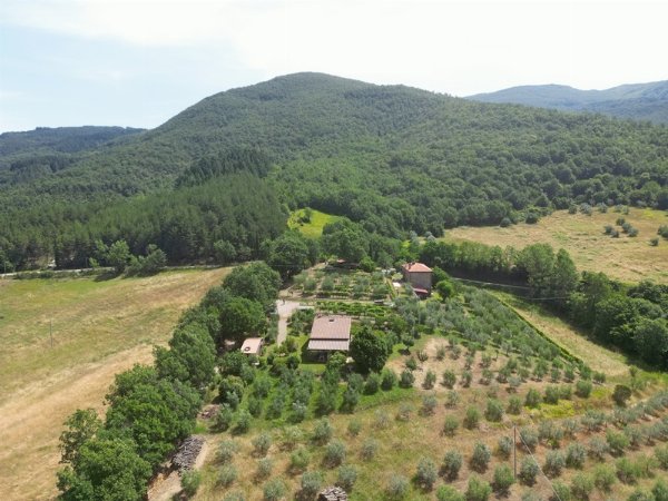 Casa Vacanze in Vendita Vicino ad Arezzo – Fascino Toscano e Privacy