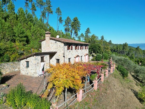 Farmhouse with pool in a dominant position – for nature lovers who love seclusion