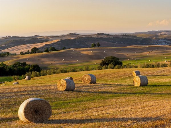 italy grass field